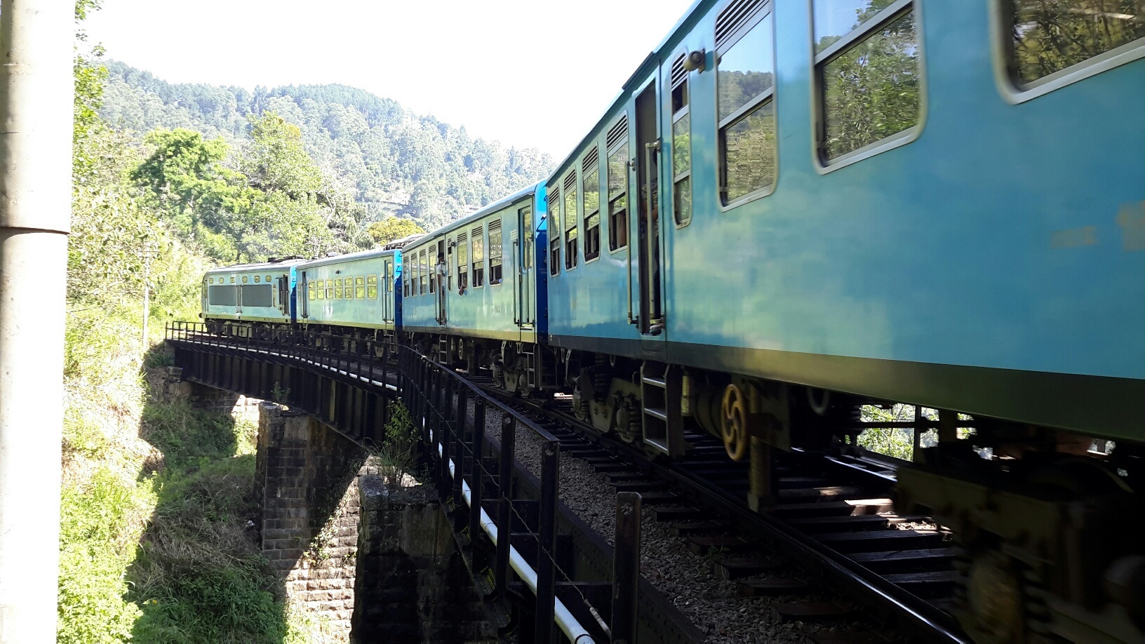 A close-up picture of a blue train on a bridge, with forest in the background.