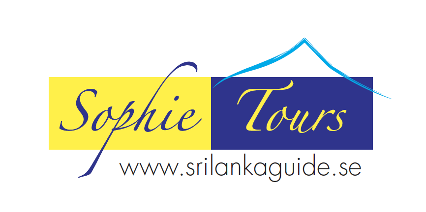A logo with the text Sophie Tours on a yellow, purple and white background.