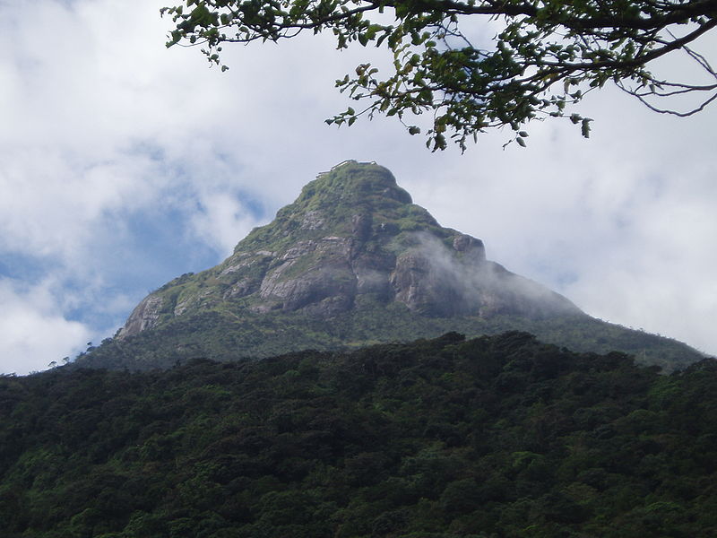 A picture from a distance of the mountain Adams Peak with sky and clouds in the background. The mountain is covered in forest and a tree branch can be seen in the foreground.