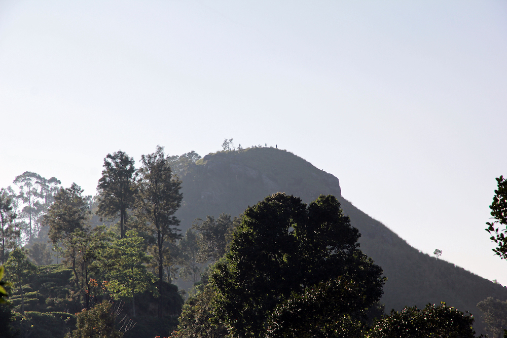 A picture from a distance on the mountain Mini Adams Peak. Treetops in the foreground.
