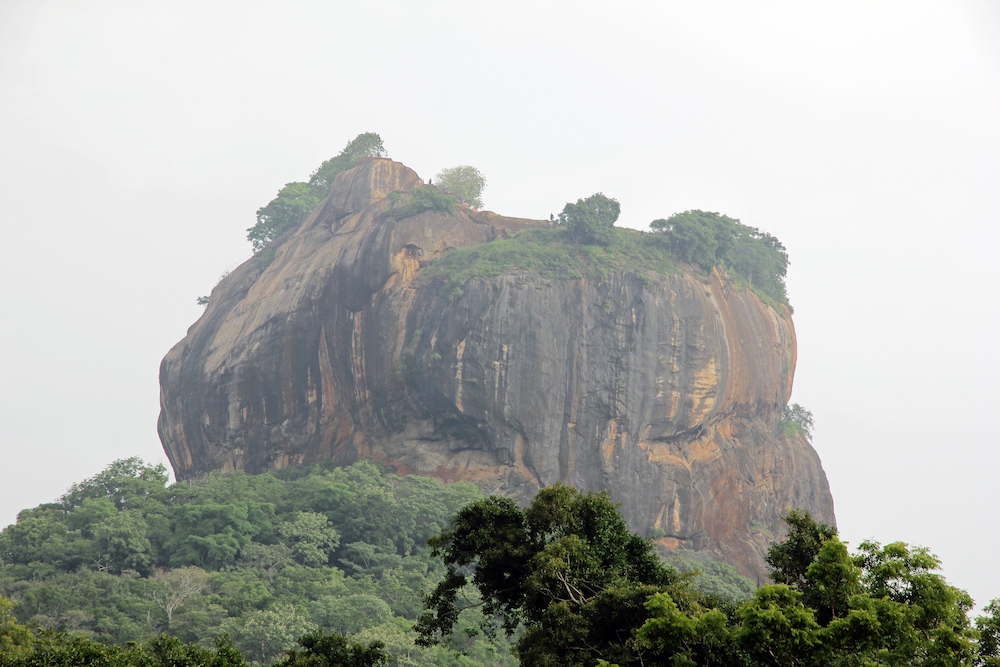 A picture from a distance of Sigiriya lion rock. Treetops in the foreground.