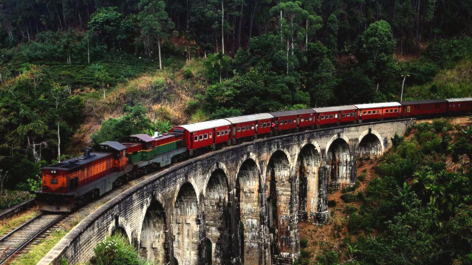 A picture of a train on a long stone bridge called the Nine Arches Bridge. The bridge is in a forest.