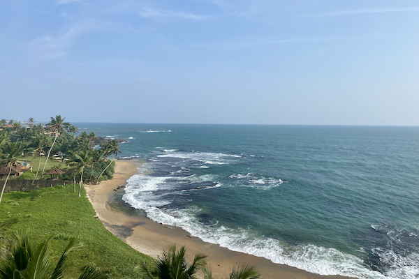 A beach picture with blue sky and green grass.