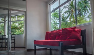 A picture of the sofa and window in the apartment's living room.